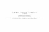 Sleep Apnea “Smart CO ” Therapy Device