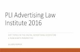 PLI Advertising Law Institute 2016