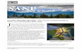 SANP Newsletter