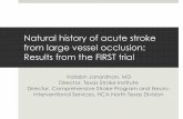 Natural history of acute stroke from large vessel ...