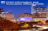 Wake County NC Chief Information and Innovation Officer
