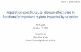 Population-specific causal disease effect sizes at loci ...
