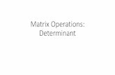 Matrix Operations: Determinant