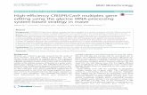 High-efficiency CRISPR/Cas9 multiplex gene editing using ...