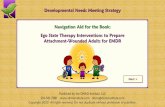 Developmental Needs Meeting Strategy Navigation Aid for ...