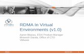 RDMA In Virtual Environments (v1.0)