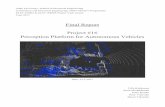 Final Report Perception Platform for Autonomous Vehicles