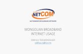 MONGOLIAN BROADBAND INTERNET USAGE