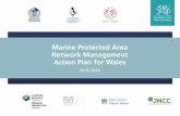 MPA Network Management Action Plan 2019-2020