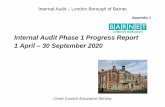 Internal Audit Phase 1 Progress Report 1 April 30 ...