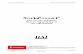 ScotiaConnect BAI2 Export File Specification