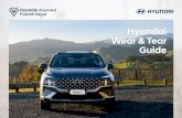Hyundai Wear & Tear Guide