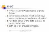 JPEG is Joint Photographic Experts Group. compresses ...