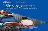 Ethiopia A Market Systems Analysis of the Poultry Sector ...