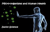 Micro-organisms and Human Health