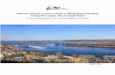 Natural Infrastructure’s Role in Mitigating Flooding Along ...