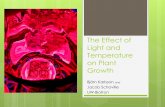 The Effect of Light and Temperature on Plant Growth