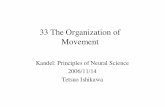 33 The Organization of Movement