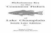 to the Common Fishes - Learn From The Lake