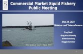 Commercial Market Squid Fishery Public Meeting