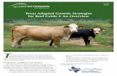 Texas Adapted Genetic Strategies for Beef Cattle I: An ...