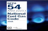 ANSI Z223.1 National Fuel Gas Code