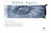 BIM-Epic 7.3B Conversion Guide
