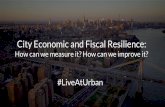 City Economic and Fiscal Resilience