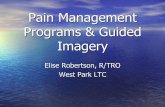 Pain Management Programs & Guided Imagery