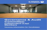 Governance & Audit Committee