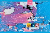 CEA - The nuclear fuel cycle