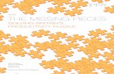 REPORT THE MISSING PIECES - IPPR
