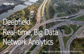 Deepfield: Real-time, Big Data Network Analytics