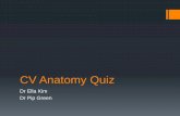 CV Anatomy Quiz - University of Sheffield
