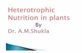 Nutrition- required by plants for