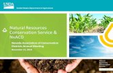 Natural Resources Conservation Service & NvACD