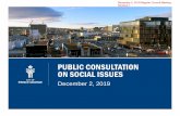 PUBLIC CONSULTATION ON SOCIAL ISSUES