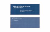 Neurobiology of Addiction presentation [Autosaved]