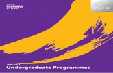2020 -2021 Undergraduate Programmes