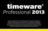 Professional 2013 - timeware
