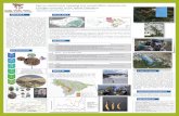 Species distribution mapping and sustainability measures ...