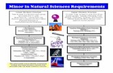 Minor in Natural Sciences Requirements