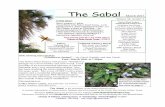 The Sabal - Native Plant Project