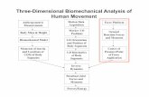 Three-Dimensional Biomechanical Analysis of Human Movement
