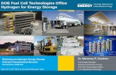 Panel 1, DOE Fuel Cell Technologies Office: Hydrogen for ...