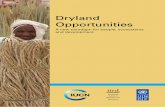Dryland Opportunities