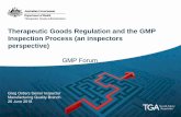Therapeutic Goods Regulation and the GMP Inspection ...