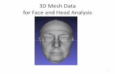 3D Head Mesh Data