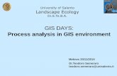 Process analysis in GIS environment