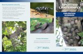 Spotted Lantern Fly Prevention Guidance